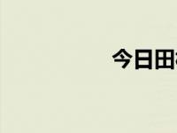 今日田林（今日田光）