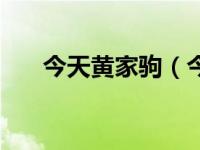 今天黄家驹（今日黄家驹演唱会高清）