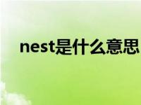 nest是什么意思（今日nest是什么意思）