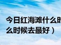 今日红海滩什么时候去最好玩（今日红海滩什么时候去最好）