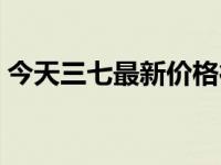 今天三七最新价格行情（今日野生三七图片）