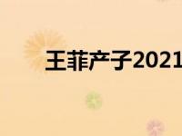 王菲产子2021（今日王菲几个孩子）