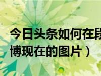 今日头条如何在段落之间穿插图片（今日黄誉博现在的图片）