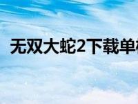 无双大蛇2下载单机（今日无双大蛇2pc版）