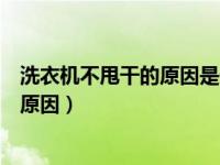 洗衣机不甩干的原因是什么问题（今日洗衣机不甩干是什么原因）