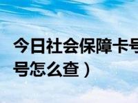 今日社会保障卡号怎么查询（今日社会保障卡号怎么查）