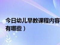 今日幼儿早教课程内容有哪些教案（今日幼儿早教课程内容有哪些）