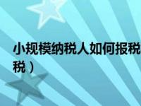 小规模纳税人如何报税视频（今日小规模纳税人如何做账报税）