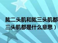 肱二头肌和肱三头肌都属于什么（今日生物中肱二头肌和肱三头肌都是什么意思）