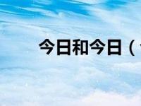 今日和今日（今日跟单是什么意思）