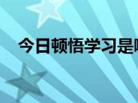 今日顿悟学习是哪一学习派别的关键命题