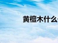 黄檀木什么价位（今日黄檀木）