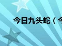 今日九头蛇（今日九头身是什么意思）