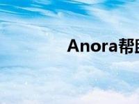 Anora帮助盲人的智能手套