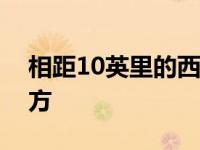 相距10英里的西尼罗河病毒样本来自不同地方