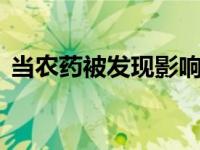 当农药被发现影响蜜蜂基因时 需要加强监管